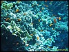 IMG_6228.JPG