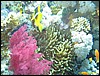 IMG_6235.JPG