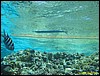 IMG_6240.JPG