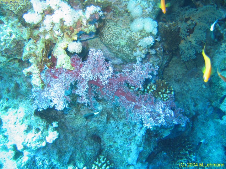 IMG_6274.JPG