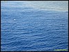 IMG_6242.JPG