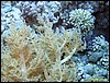 IMG_6246.JPG