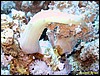 IMG_6248.JPG
