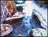 IMG_6256.JPG
