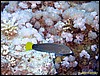 IMG_6257.JPG