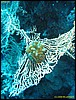 IMG_6262.JPG