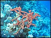 IMG_6263.JPG