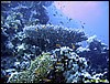 IMG_6271.JPG