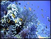 IMG_6280.JPG