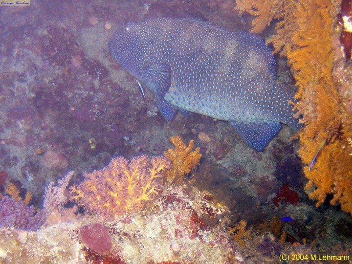 IMG_6339.JPG