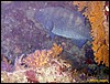 IMG_6339.JPG