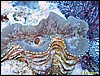 IMG_6342.JPG