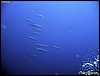 IMG_6348.JPG