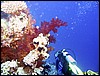 IMG_6350.JPG