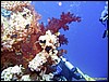 IMG_6351.JPG