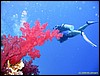 IMG_6352.JPG