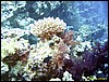 IMG_6353.JPG