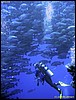 IMG_6369.JPG