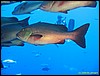 IMG_6372.JPG