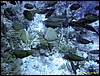 IMG_6395.JPG