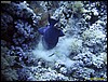IMG_6398.JPG