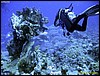 IMG_6412.JPG