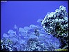 IMG_6413.JPG