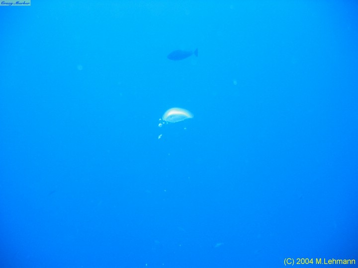 IMG_6433.JPG