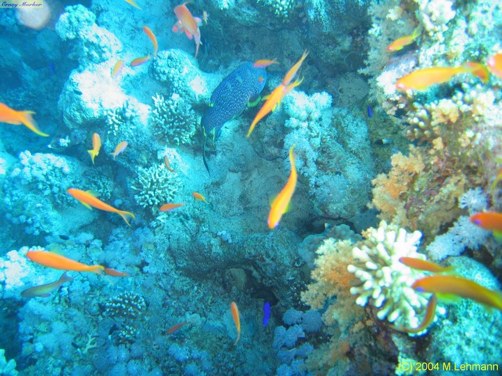 IMG_6447.JPG