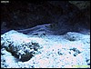 IMG_6440.JPG