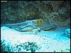 IMG_6441.JPG