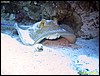 IMG_6442.JPG