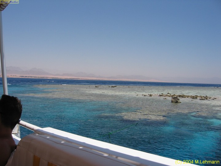 IMG_6448.JPG