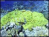 IMG_6450.JPG