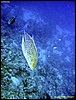 IMG_6451.JPG