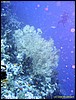IMG_6458.JPG