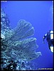 IMG_6464.JPG