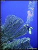 IMG_6465.JPG