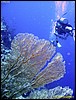 IMG_6466.JPG
