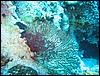 IMG_6468.JPG