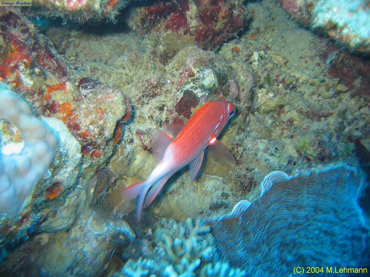 IMG_6483.JPG