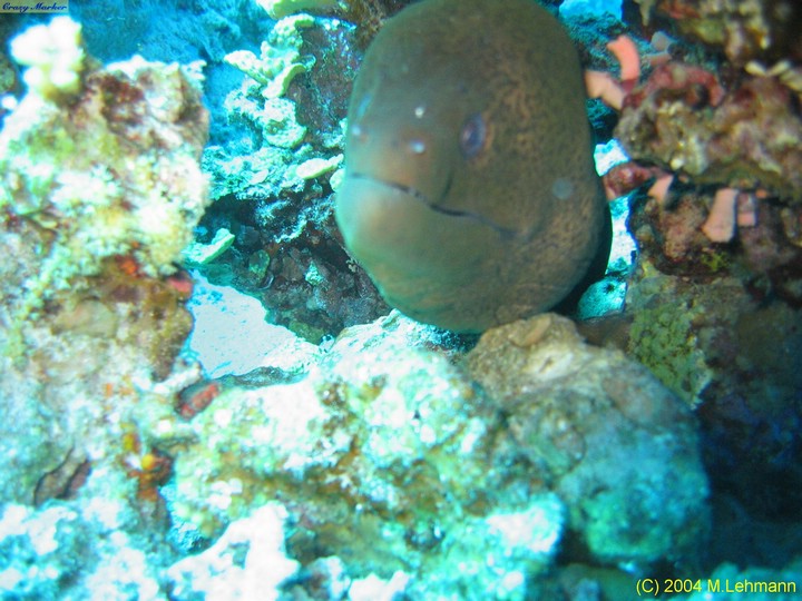 IMG_6495.JPG