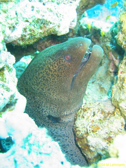 IMG_6501.JPG