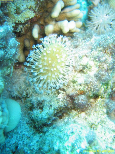 IMG_6506.JPG