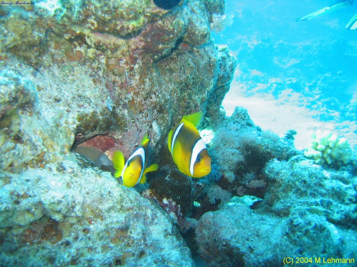 IMG_6508.JPG