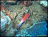 IMG_6483.JPG