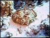 IMG_6492.JPG