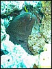 IMG_6500.JPG