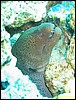 IMG_6501.JPG