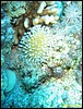 IMG_6506.JPG